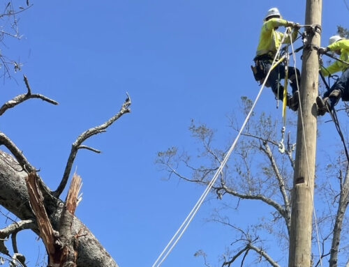 Utility Line of Business Brings Back the Power After Storms